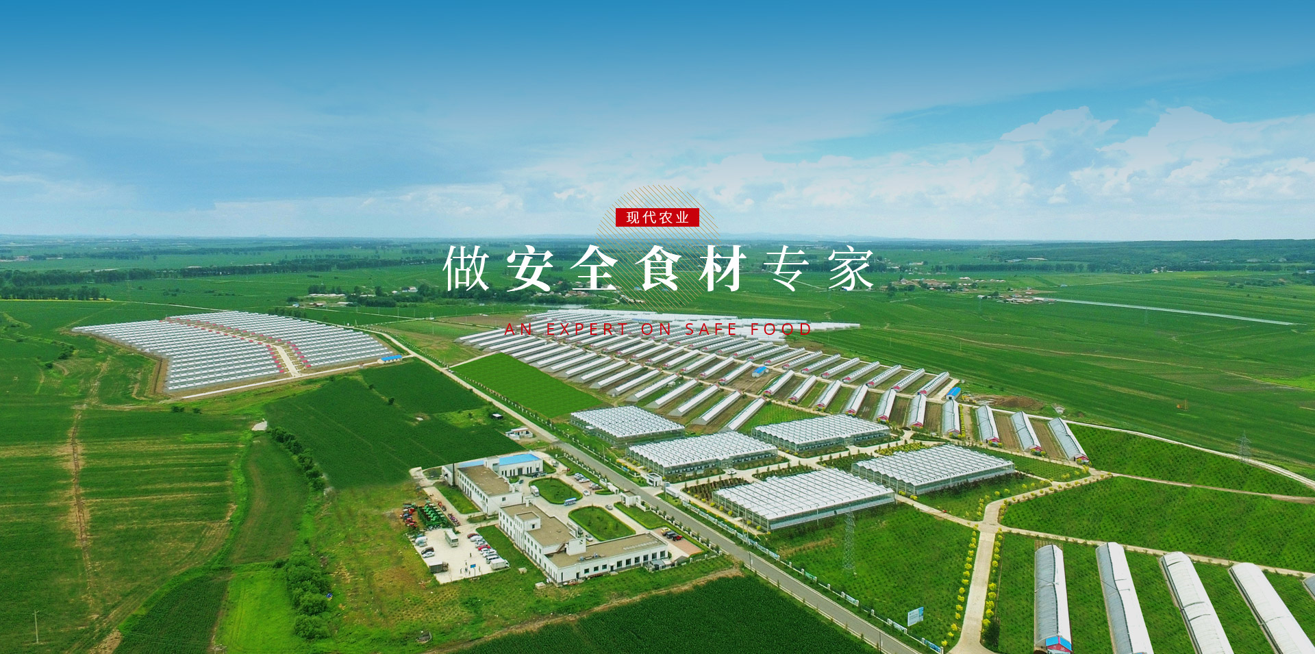 js555888金沙老品牌(中国)股份公司-Maigoo百科