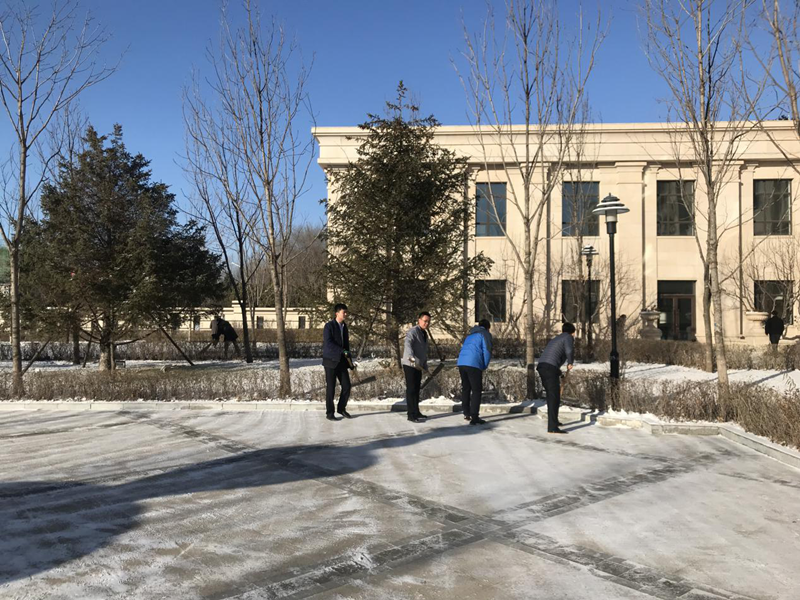 10.南山总公司组织算帐园区内外积雪.png