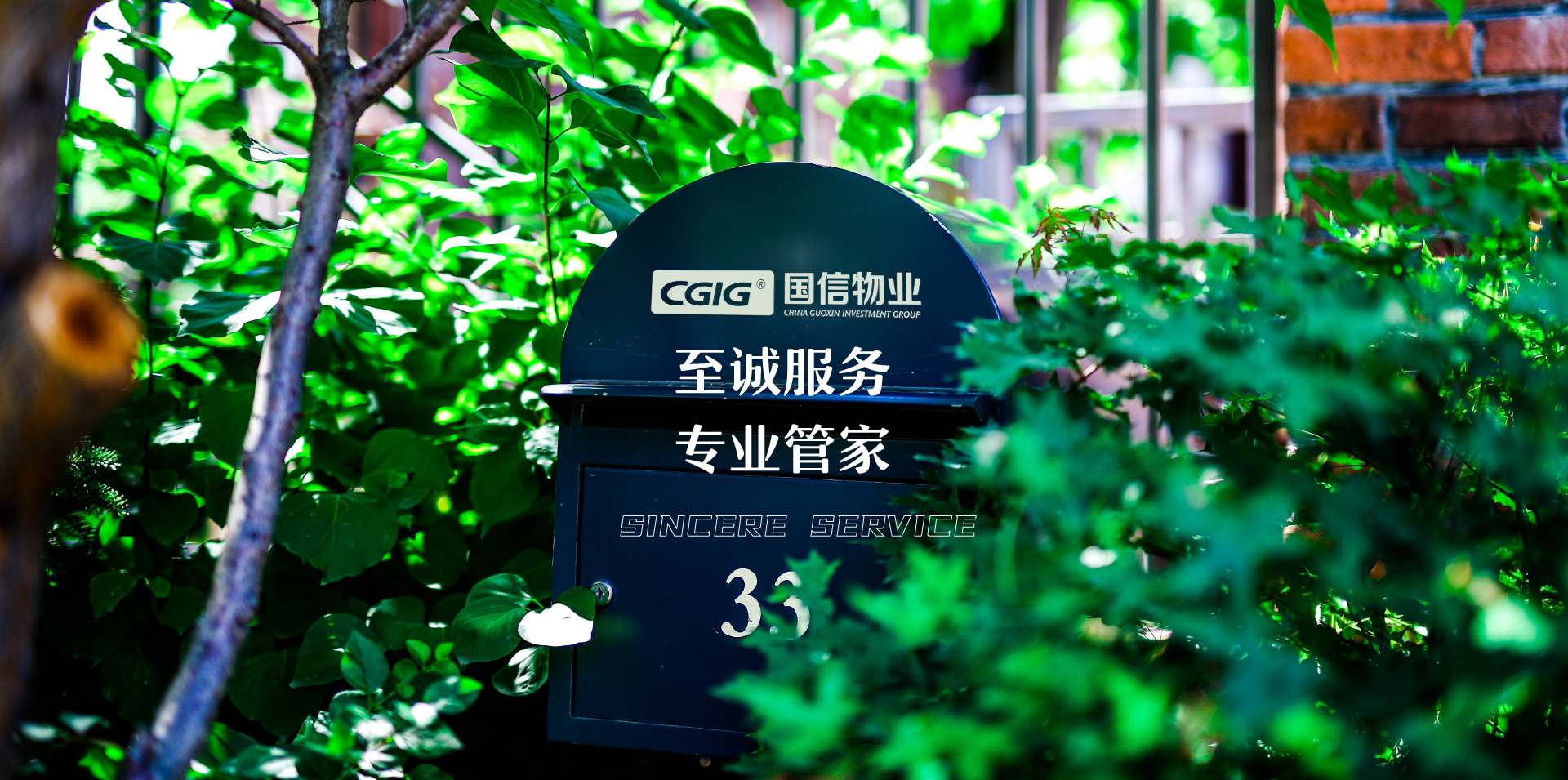 js555888金沙老品牌(中国)股份公司-Maigoo百科